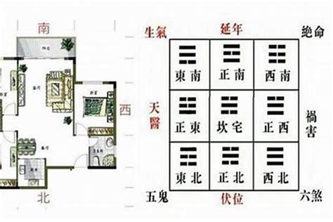 龙边虎边|道彦风水先生：青龙、白虎两方位的风水法则及避开方位煞气